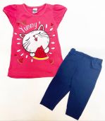 Кошка с арбузом 